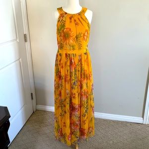 Charlotte maxi dress M $30